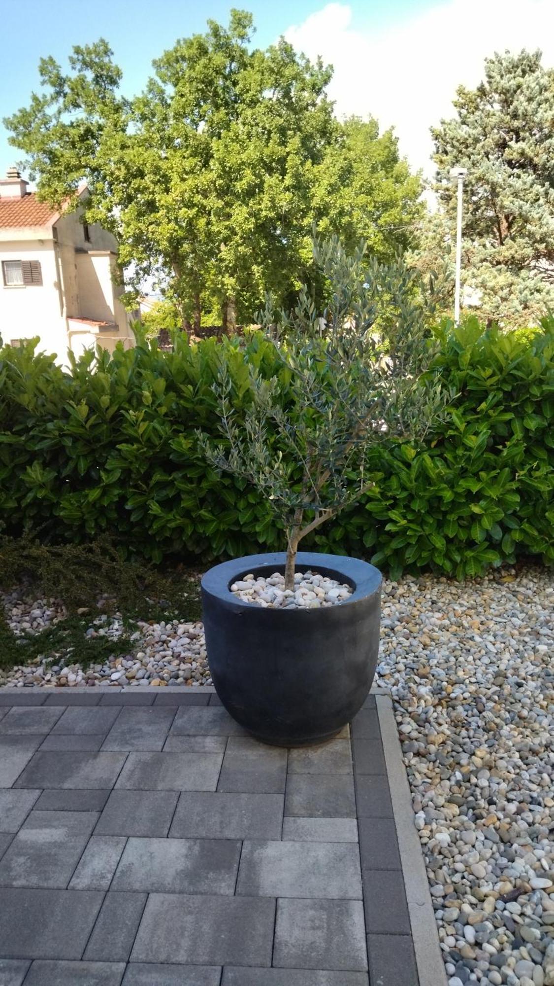 Apartment White فانتاسيسي المظهر الخارجي الصورة